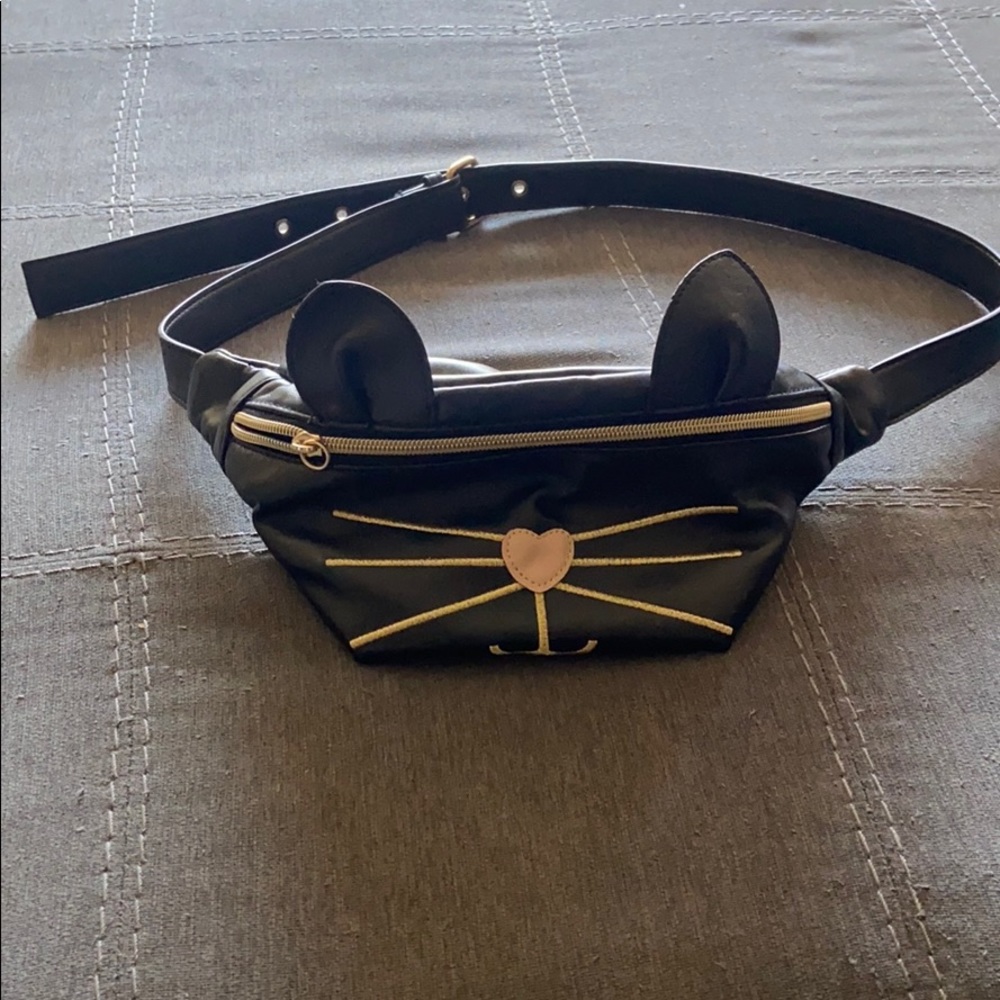 Cat Fanny pack